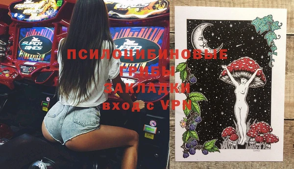 ешки Алексеевка