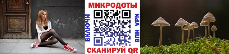 Псилоцибиновые грибы Psilocybe  OMG маркетплейс  сайты даркнета какой сайт  Удомля 